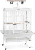 Pet Products Wrought Iron Select Bird Cage 3154C, Chalk White, 36-Inch by 24-Inch by 66-Inch